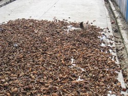 Sulawesi Tengah yang Dimanja Alam