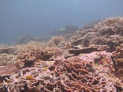 Surga di Kaki Gunung Api