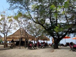 Tahun Baru Spektakuler di Gili Trawangan