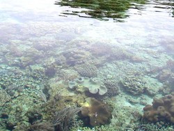 Tahun Baru yang Berbeda di Pulau Siladen