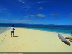 Taman Laut Teluk Cenderawasih: Tak Cukup Seminggu!