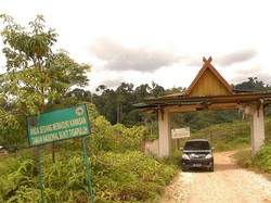 Taman Nasional Bukit Tigapuluh (TNBT)