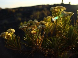 Tambora: Sebuah Catatan Perjalanan