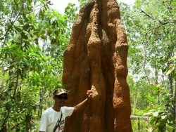 Terbuai Pesona Wasur