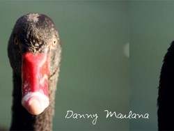 Terjebak di Kamar Hotel? Datangilah Ragunan