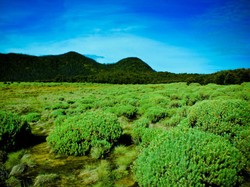 Terpesona Indahnya Gunung Papandayan