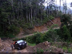 Tersihir Pesona Pegunungan Arfak