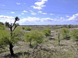 Timur Selatan Indonesia