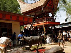 Toraja: The Mystical Land of the Dead