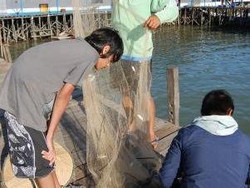 Trip to Vietnam dan Kamboja