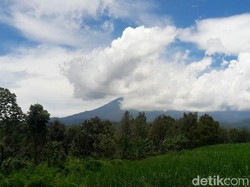 Asap Gunung Raung Membumbung, Hujan Abu Mulai Terjadi