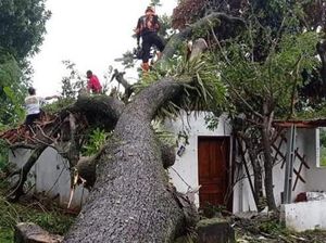 Puting Beliung di Klaten: 20 Rumah Rusak-2 Orang Luka Tertimpa Pohon