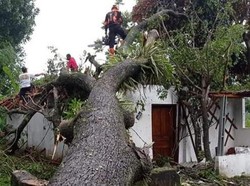 Puting Beliung di Klaten: 20 Rumah Rusak-2 Orang Luka Tertimpa Pohon