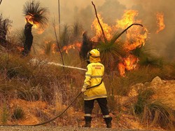 Studi: Kehidupan Masyarakat Adat di Australia Bisa Mengatasi Krisis Kebakaran Hutan