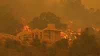 Kebakaran Hutan Australia Bikin 71 Rumah Rusak Berat