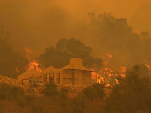 Kebakaran Hutan di Australia Hancurkan 81 Rumah