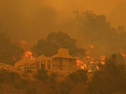 Kebakaran Hutan di Australia Hancurkan 81 Rumah
