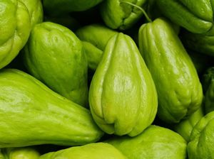 Kementan Dukung Project Closed-Loop untuk Pengembangan Hortikultura