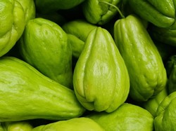 Kementan Dukung Project Closed-Loop untuk Pengembangan Hortikultura