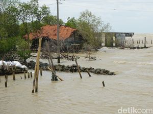 Terdampak Gelombang Tinggi, Puluhan KK di Demak Ngungsi-Tak Bisa Melaut
