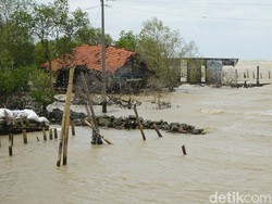 Terdampak Gelombang Tinggi, Puluhan KK di Demak Ngungsi-Tak Bisa Melaut