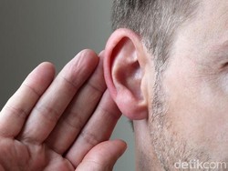 Kebutuhan untuk Bebas dari Bising