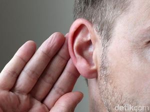 Dentuman di Malang Dipastikan Bukan Bersumber dari Latihan Marinir Dentuman di Malang Dipastikan Bukan Bersumber dari Latihan Marinir