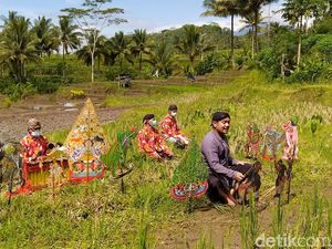 Pertunjukan Wayang Serangga di Persawahan Magelang Pertunjukan Wayang Serangga di Persawahan Magelang