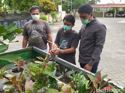 Pria di Lamongan Curi Bunga Hingga Senilai Belasan Juta Rupiah