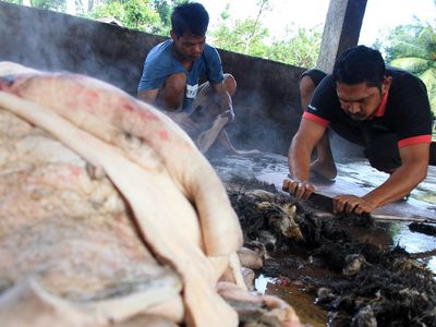 Melihat Pembuatan Kerupuk Kulit di Aceh