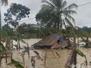 Dihantam Banjir, 1.810 Hektar Sawah di Pandeglang Banten Gagal Tanam