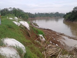 Tanggul Sungai Citanduy Pangandaran Terancam Jebol, Warga Khawatir