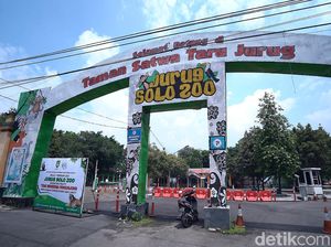 Taman Satwa Taru Jurug Surakarta Dibuka Lagi, Kapasitas 30% Taman Satwa Taru Jurug Surakarta Dibuka Lagi, Kapasitas 30%