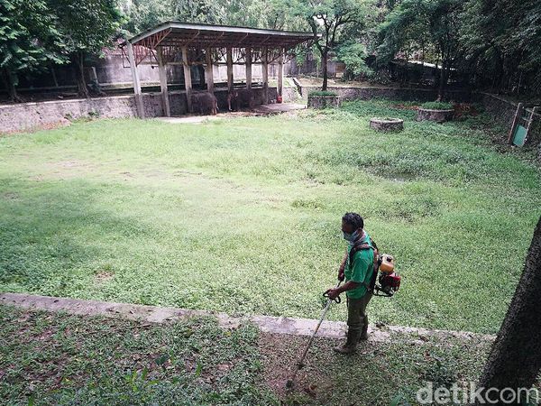 Suasana Sepi Kebun Binatang Solo