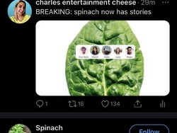 Viral di Twitter, Bayam Kini Bisa Kirim Email untuk Manusia