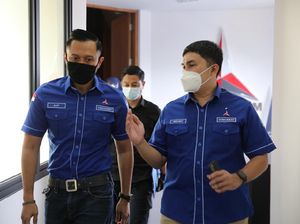 Balas Tsamara, PD Singgung Gagal Berprestasi tapi Minta Karpet Merah Istana Balas Tsamara, PD Singgung Gagal Berprestasi tapi Minta Karpet Merah Istana