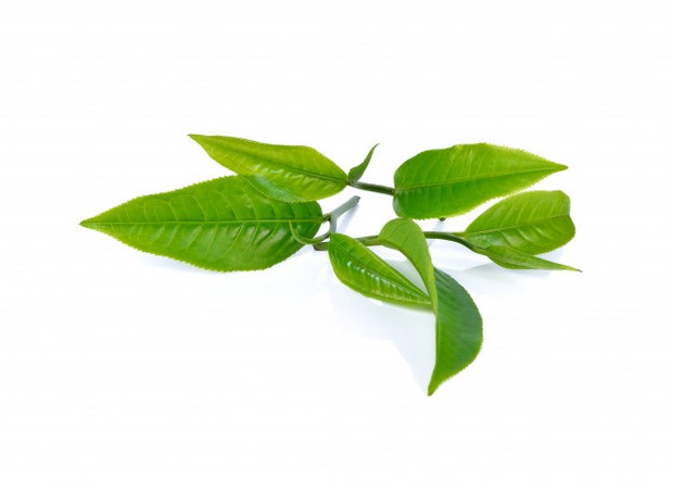 Green tea yang terpilih sebagai bahan skincare populer.