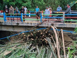 Viral Rumpun Bambu Terbawa Arus Sungai di Ponorogo Karena Hujan Deras