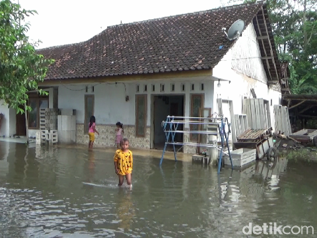 Sungai di Lumajang Meluap, Puluhan Rumah dan Lahan Pertanian Terendam Banjir