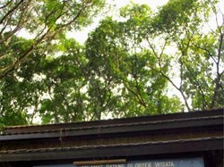 2 Gua yang Menghipnosis Petualang di Bogor