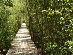 24 Jam di Surabaya, Begini Caranya!