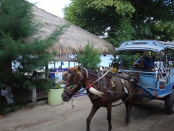 3 Destinasi Ini Bebas Kendaraan Bermotor