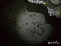 3 Gua Alam di Bogor yang Belum Banyak Orang Tahu