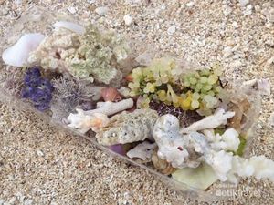 3 Pantai Indah dan Eksotis di Bengkulu