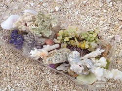 3 Pantai Indah dan Eksotis di Bengkulu