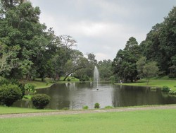 5 Destinasi yang Cocok untuk Ibu Hamil