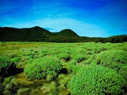 5 Gunung Ini Bersahabat Bagi Para Pendaki Pemula