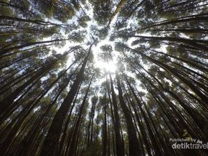 5 Objek Wisata Keren di Bantul