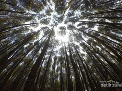 5 Objek Wisata Keren di Bantul