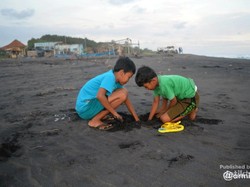 5 Pantai di Purworejo yang Wajib Dikunjungi